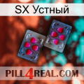 SX Устный 15